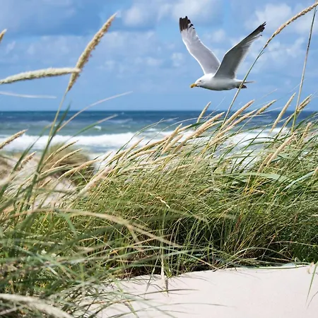 Lejlighed Near Sailing Club With Sea Views Knokke-Heist