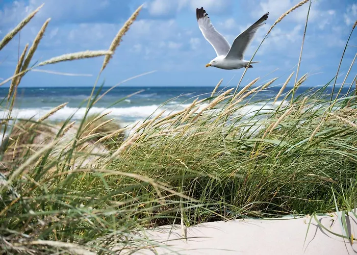 Near Sailing Club With Sea Views Apartment Knokke-Heist